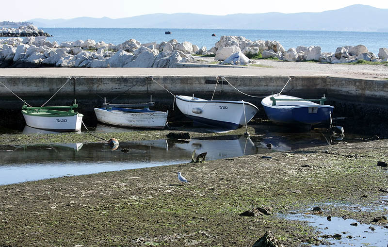 Oseka u Zadru more se povuklo nekih 50-ak cm