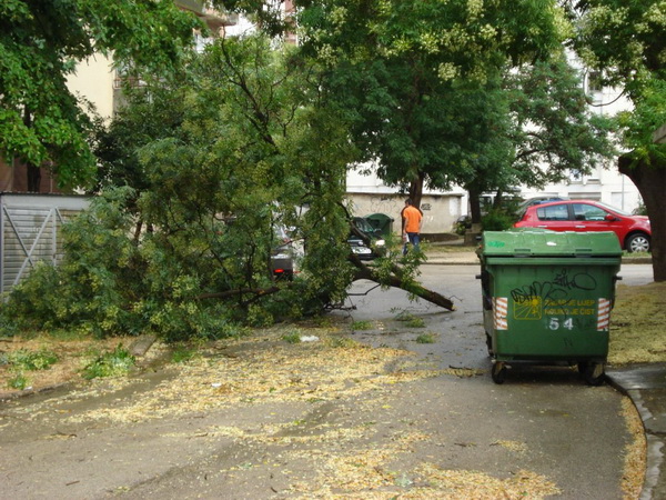 18.7.2009. Posljedice nevremena u ul. F. Tudjmana i B.J.Jelacica u Zadru 18.7.2009. Posljedice nevremena u ul. F. Tudjmana i B.J.Jelacica u Zadru