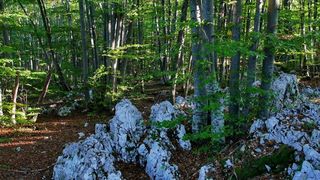 NP Plitvička jezera, listopad 2021.