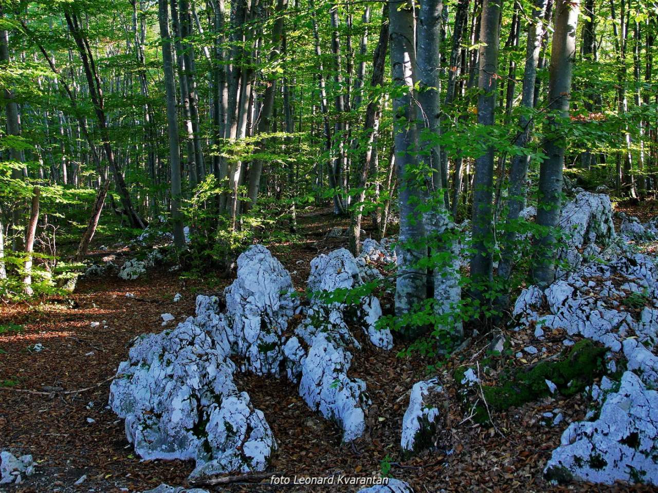 NP Plitvička jezera, listopad 2021.