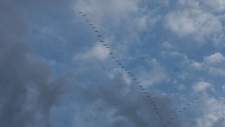 Pozdrav suncu prekriven ledenim pokrivacem 26. studenog 2010, Foto: Leo Banic