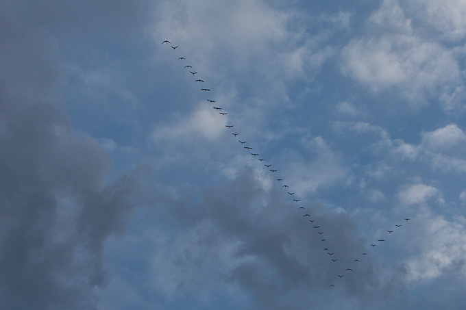 Pozdrav suncu prekriven ledenim pokrivacem 26. studenog 2010, Foto: Leo Banic