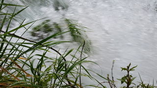 1.svibnja u Skradinu i NP Krka, Foto: Mladen Malik