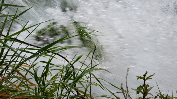 1.svibnja u Skradinu i NP Krka, Foto: Mladen Malik