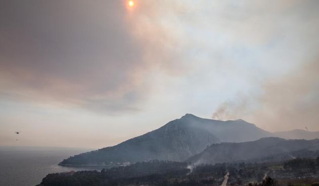 U katastrofalnim požarima na Pelješcu i Korčuli izgorjelo je više od 1400 hektara borove šume i vinograda.  Photo: Grgo Jelavić/PIXSELL