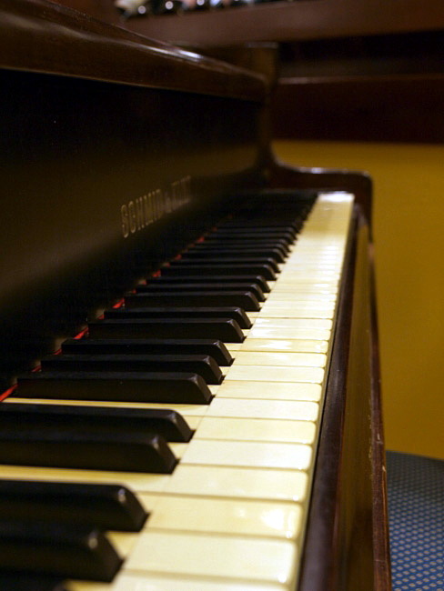 OLYMPUS DIGITAL CAMERA