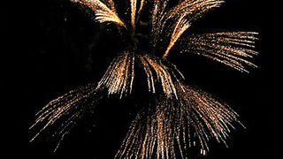 Virska fešta 29. kolovoza 2012. Virska fešta 29. kolovoza 2012.