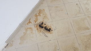 Devastirani Centar Mocire Devastirani Centar Mocire