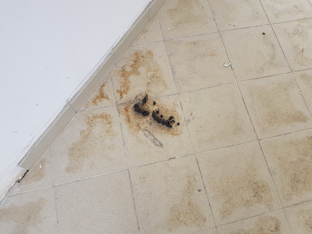 Devastirani Centar Mocire Devastirani Centar Mocire