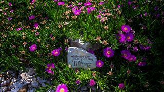 Nedjeljnja šetnja od Dikla do Pinije, Foto: Mladen Radolović Mrlja Nedjeljnja šetnja od Dikla do Pinije, Foto: Mladen Radolović Mrlja