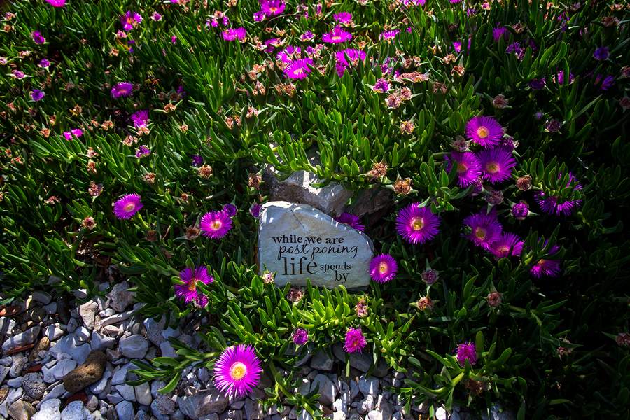 Nedjeljnja šetnja od Dikla do Pinije, Foto: Mladen Radolović Mrlja Nedjeljnja šetnja od Dikla do Pinije, Foto: Mladen Radolović Mrlja