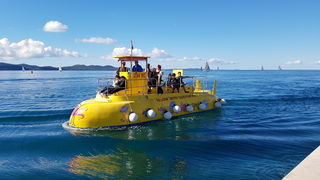 Zadarska Koka 2016. 22. listopada 2016. Foto: Mladen Malik Zadarska Koka 2016. 22. listopada 2016. Foto: Mladen Malik