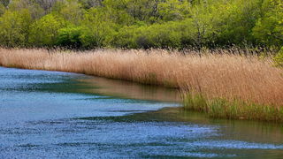 Pješačka staza Obrovac – Jankovića buk