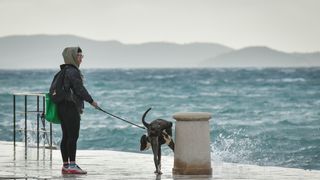 Olujno jugo u Zadru, 5. prosinca 2020.