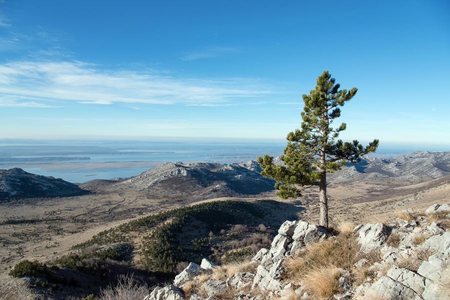 Od Velikog Rujna, preko Rujanske kose do Višerujna…