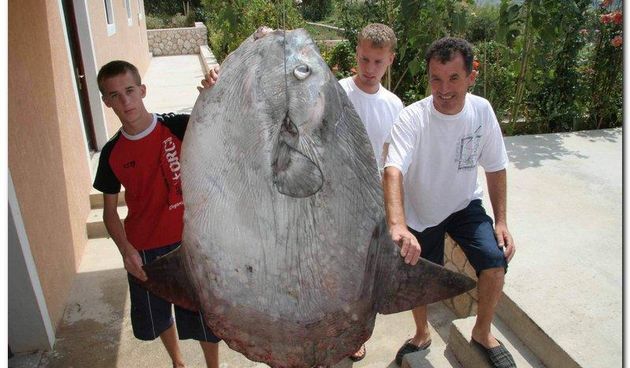 Miočići s bucnjem (Foto: 24sata.hr)