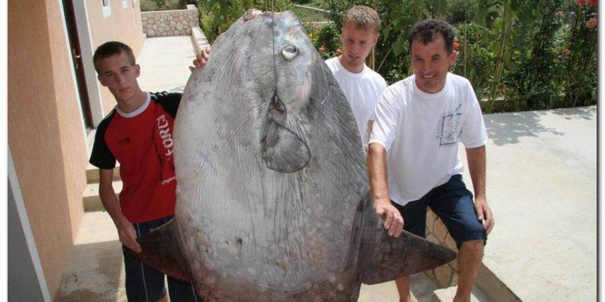 Miočići s bucnjem (Foto: 24sata.hr) Miočići s bucnjem (Foto: 24sata.hr)