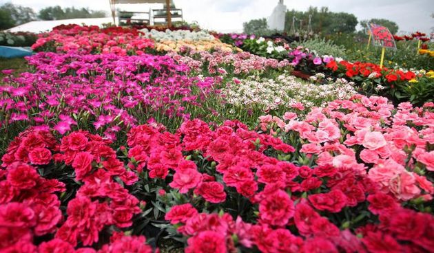 Na Bundeku otvoren “Floraart”: 160 izlagača iz osam zemalja, foto: pixsell.hr