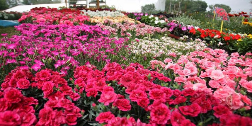 Na Bundeku otvoren “Floraart”: 160 izlagača iz osam zemalja, foto: pixsell.hr