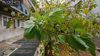 Đir po gradu, srijeda 13. prosinca 2017.