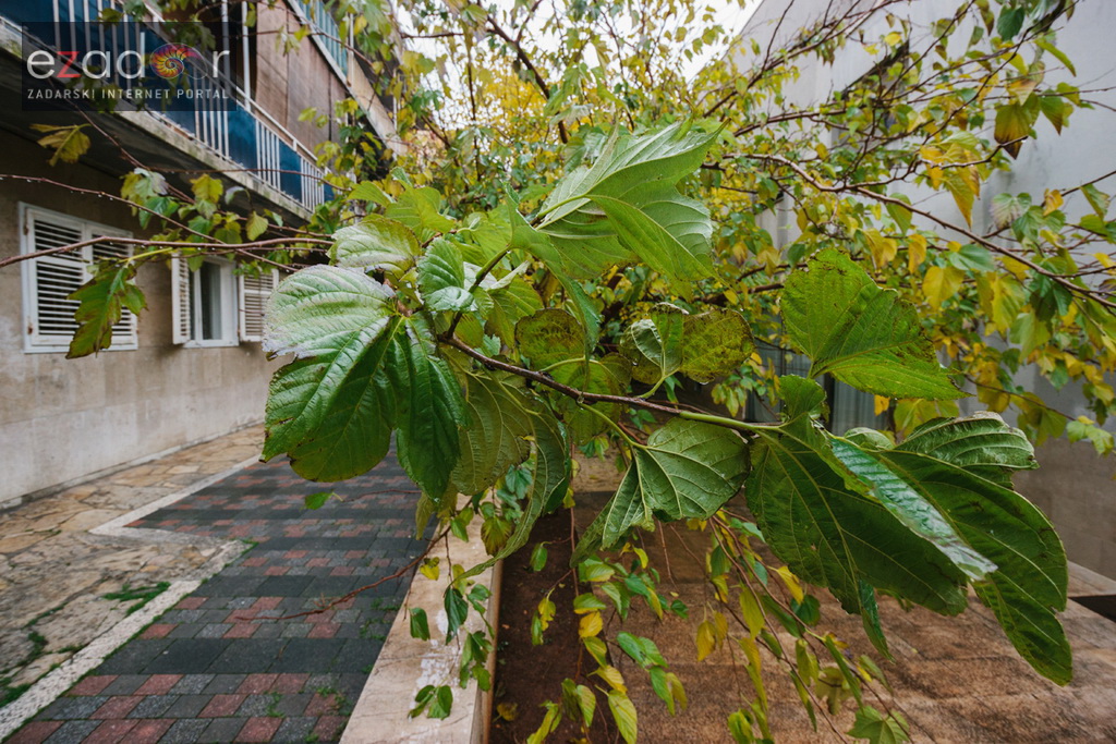 Đir po gradu, srijeda 13. prosinca 2017.