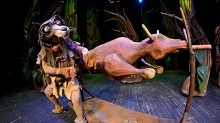 Knjiga o džungli, foto: Iva Perinčić Knjiga o džungli, foto: Iva Perinčić