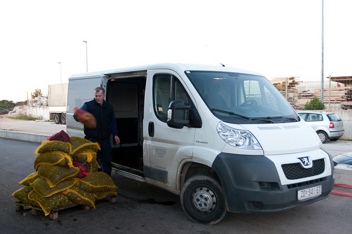 Put masline od stabla do djevicanskog ulja, Foto: Leo Banic Put masline od stabla do djevicanskog ulja, Foto: Leo Banic