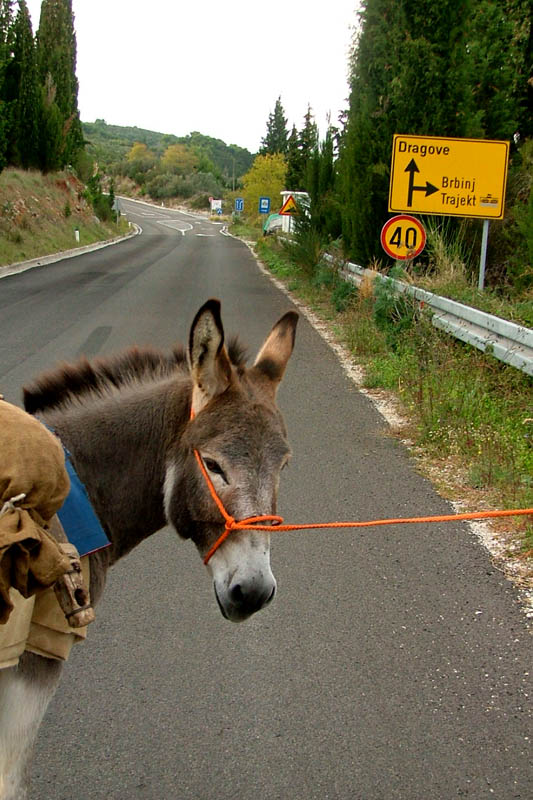 Image 1190425 (auto)