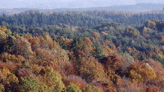 Varazdin, 301010.
Na podrucju brdovitog dijela opcine Vinice, koja je udaljena petnaest-ak kilometara od Varazdina ovih dana se moze vidjeti predivan spektar boja koje su nam dostupne samo nekoliko dana u godini.
Naime, pocetak opadanja lisca s drveca i p Varazdin, 301010.
Na podrucju brdovitog dijela opcine Vinice, koja je udaljena petnaest-ak kilometara od Varazdina ovih dana se moze vidjeti predivan spektar boja koje su nam dostupne samo nekoliko dana u godini.
Naime, pocetak opadanja lisca s drveca i p
