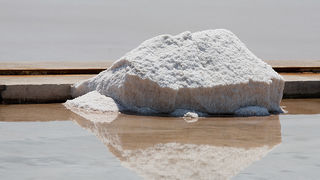 Solana Nin, berba soli, foto: Leo Banić