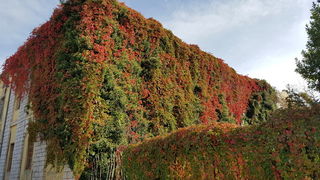 Boje zadarske jeseni. Foto: Mladen Malik