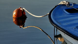 Svitanje i rano jutro u novoj luci Gaženica