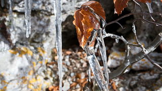 Đir do vrha Zečjak na sjevernom Velebitu, Foto: Leo Banić