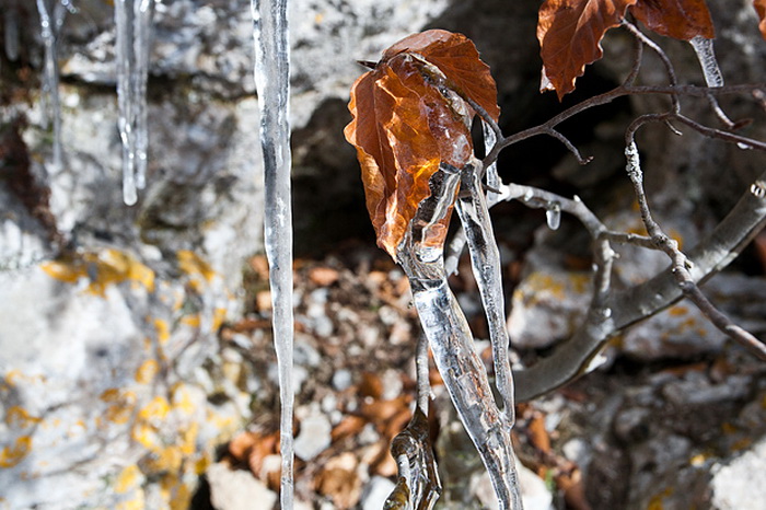 Đir do vrha Zečjak na sjevernom Velebitu, Foto: Leo Banić