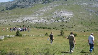 Image 1177353 (auto)