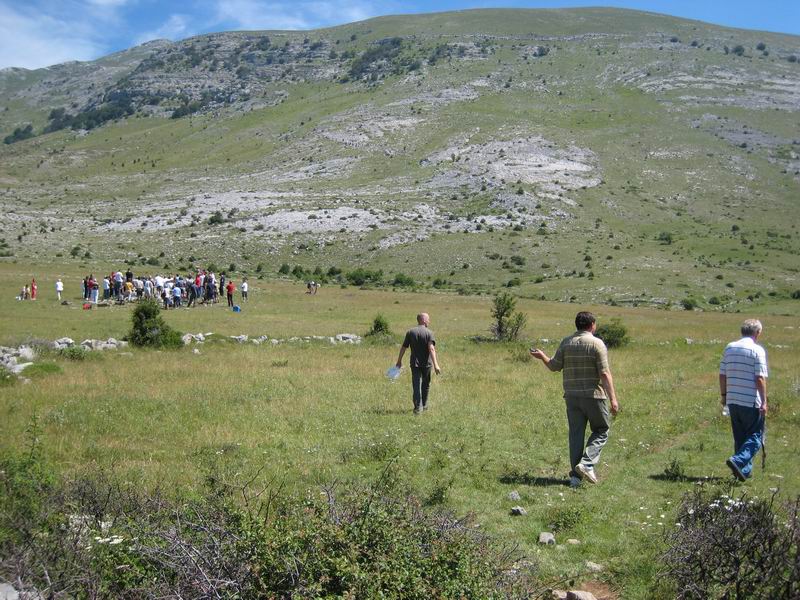 Image 1177353 (auto)