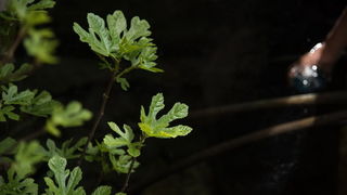 Drugi Planinarski pohod “Hajdemo do Vrane” 2. travnja 2016. Foto: Vinko Pešić