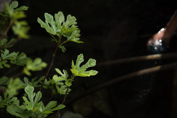 Drugi Planinarski pohod “Hajdemo do Vrane” 2. travnja 2016. Foto: Vinko Pešić