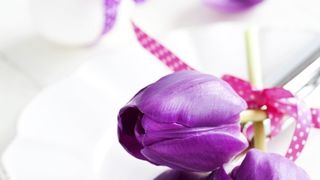 10 ideja za uređenje uskršnjeg stola, foto: Budi in 10 ideja za uređenje uskršnjeg stola, foto: Budi in