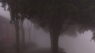 Zadar, magla svuda oko nas