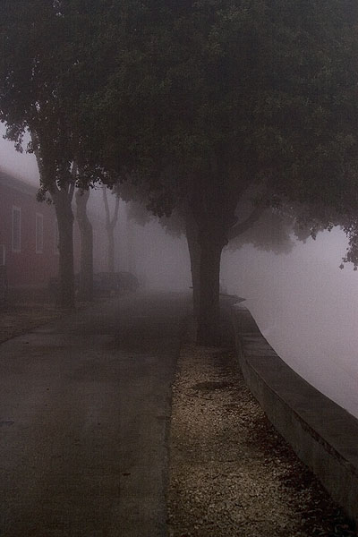 Zadar, magla svuda oko nas