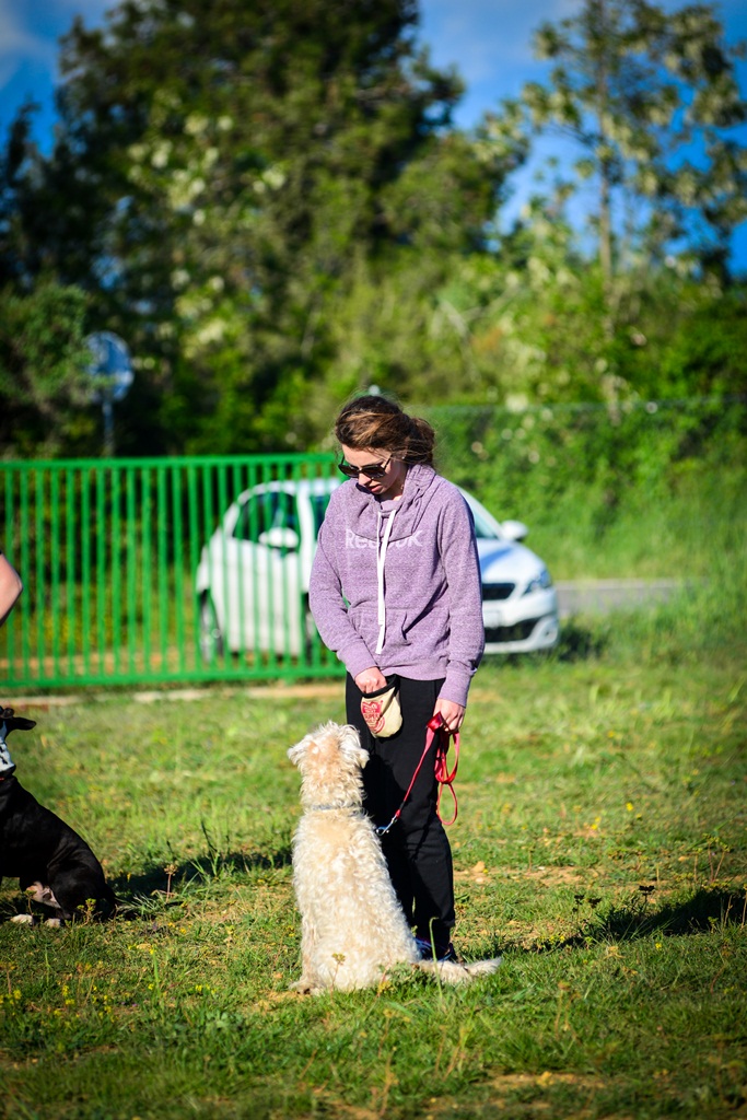 Kinološka udruga Malinois