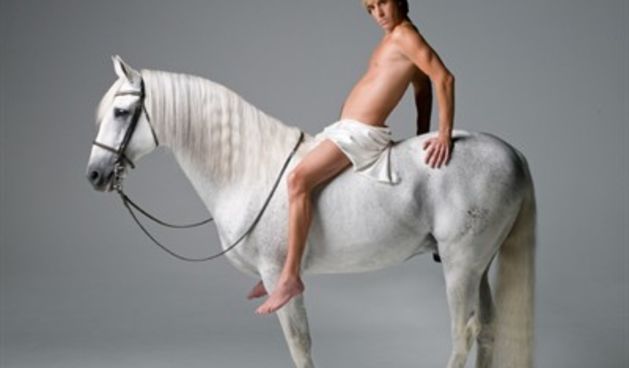 Bruno (Foto: Tportal.hr)