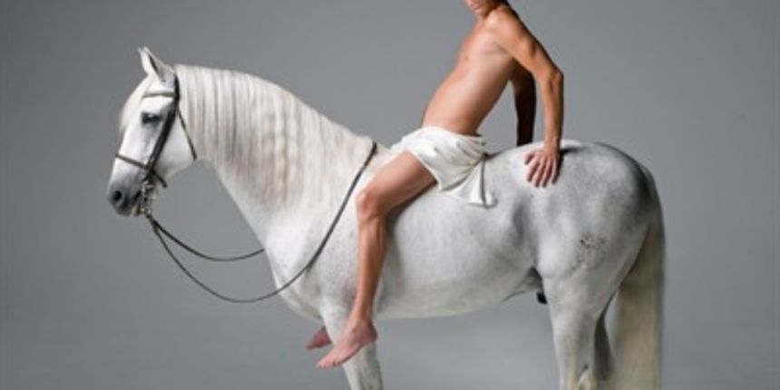 Bruno (Foto: Tportal.hr)