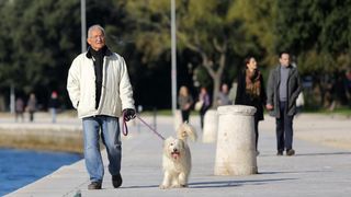 Prohladan, ali iznimno lijep i sunčan dan građani Zadra su iskoristili za šetnju prekrasnom rivom.  Photo: Filip Brala/PIXSELL