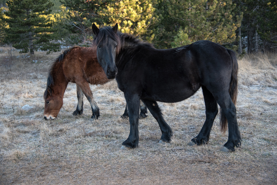 Od Velikog Rujna, preko Rujanske kose do Višerujna…