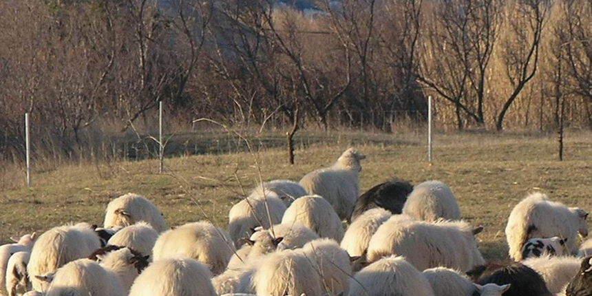 OLYMPUS DIGITAL CAMERA OLYMPUS DIGITAL CAMERA