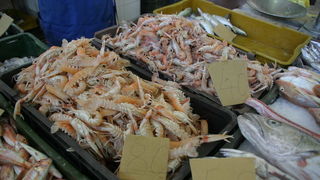 Image 1201867 (auto)