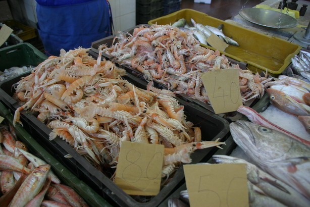 Image 1201867 (auto)