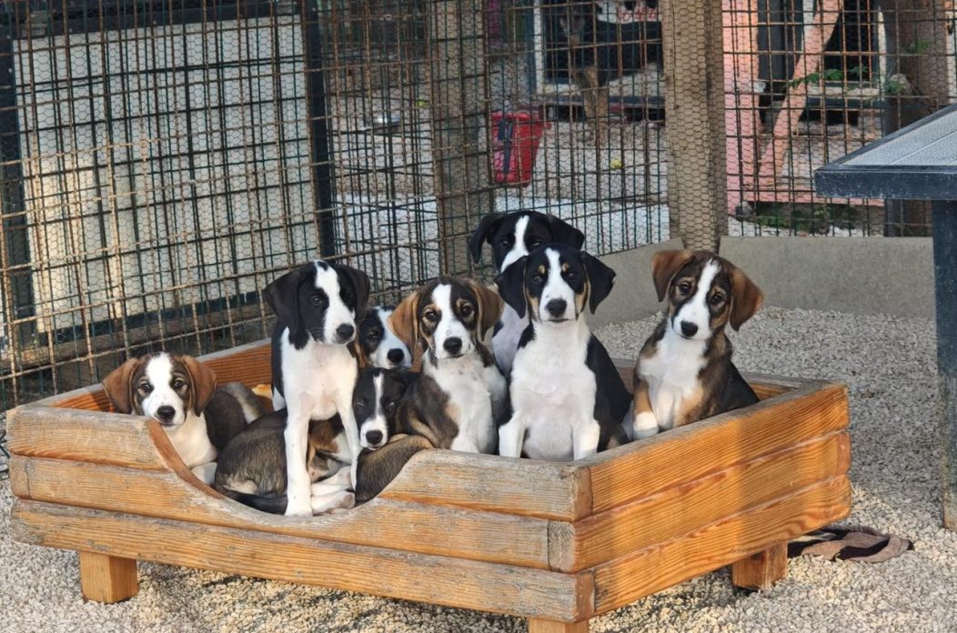 547522633_809104101647020_6155953410780576330_n 547522633_809104101647020_6155953410780576330_n